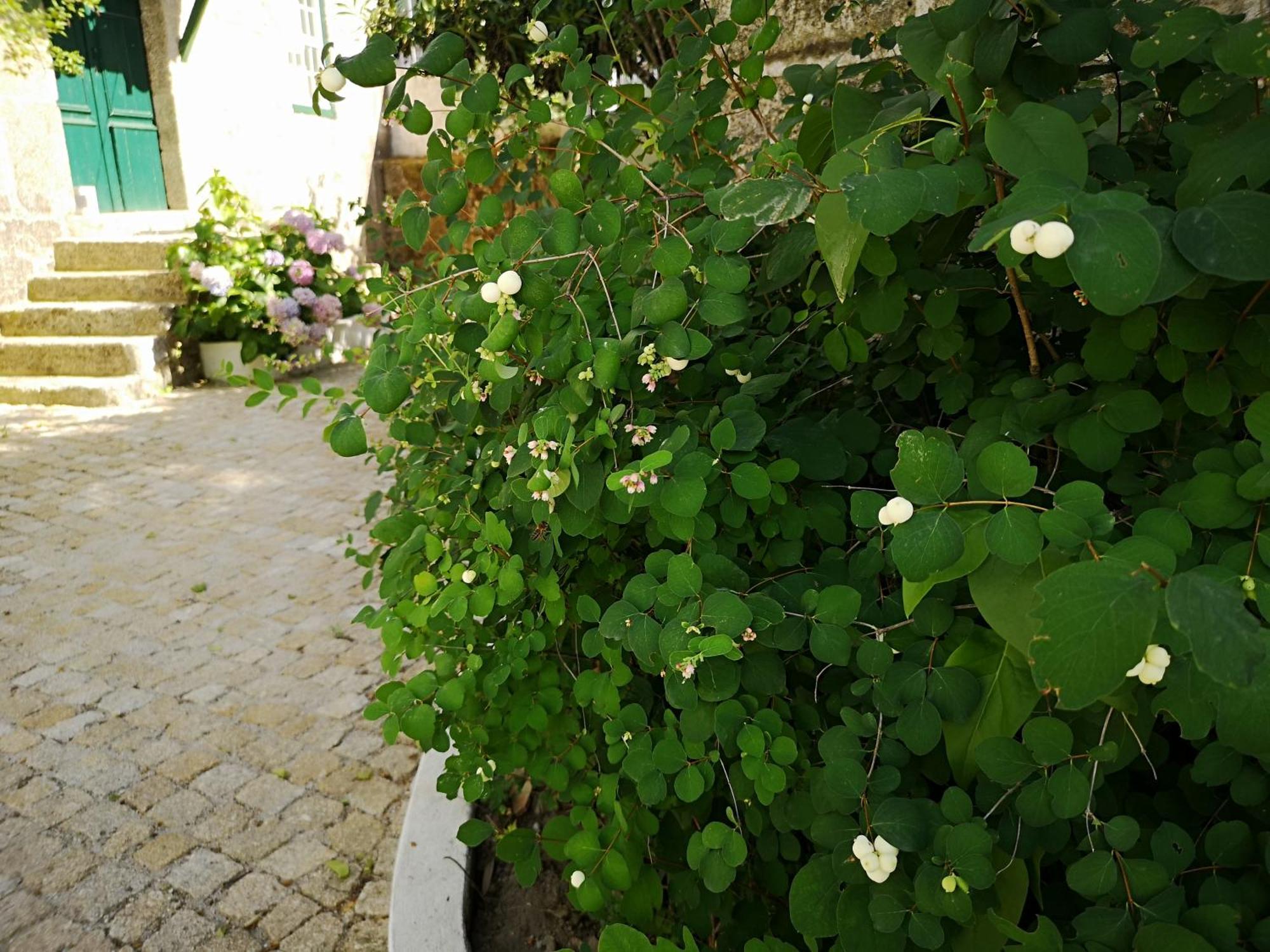 코빌라 Refugio De Calheiros 빌라 외부 사진
