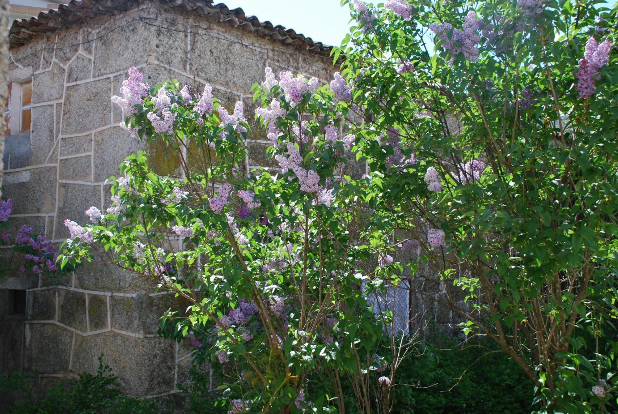 코빌라 Refugio De Calheiros 빌라 외부 사진